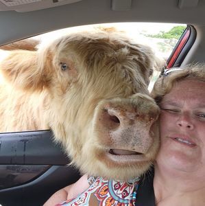 Meet your Posher, Sara